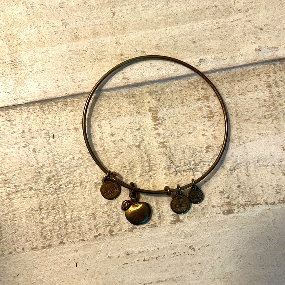 Alex and Ani Bracelet